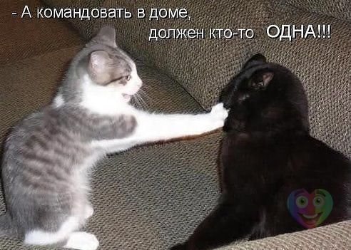 ������� - 19 ��� 2014 � 22:02