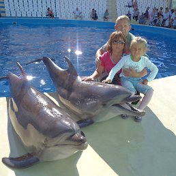 ���� ��������� ����, �����������, 62 ���� - ��������� 8 ��� 2014