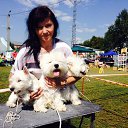 ���� ������, ����, 46 ��� - ��������� 2 ������� 2014