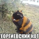 ���� **S�����**, ������ - ��������� 29 ���� 2014 � ������ ������ ��������