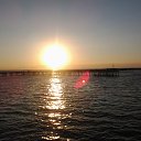 ���� Roman, ����, 37 ��� - ��������� 25 ��� 2014