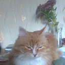 ���� Andrei, �����-���������, 100 ��� - ��������� 9 ������� 2014