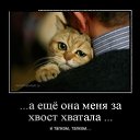 ���� ��������, �����������, 59 ��� - ��������� 29 ������ 2014 � ������ ������ ��������