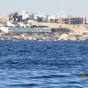 ���� ����������, ������, 58 ��� - ��������� 29 ���� 2014 � ������ ���