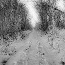 ���� ��������, ��������, 45 ��� - ��������� 16 ������� 2014 � ������ ������ ����