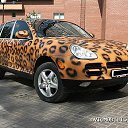 ���� ������, ������������, 36 ��� - ��������� 29 ��� 2014 � ������ ������ �������� ���λ