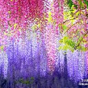 ���� ������, ����������� - ��������� 7 ��� 2014 � ������ ������ ��������