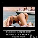 ���� �������, ������, 59 ��� - ��������� 2 ���� 2014 � ������ ������ ��������