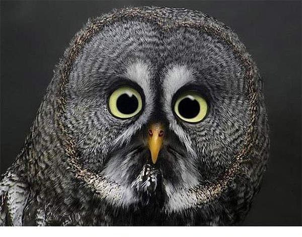 ��������� � ������ ��������.