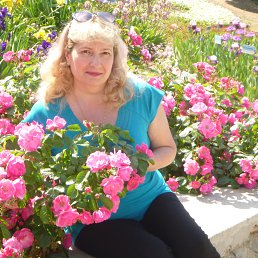 ���� ������, �����������, 60 ��� - ��������� 25 ��� 2014