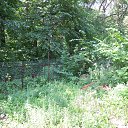 ���� ��������, ������, 63 ���� - ��������� 15 ���� 2014 � ������ ������� ���������