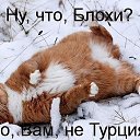 ���� &dagger;Seniorita&dagger;, ����������� - ��������� 11 ��� 2014 � ������ ������ ��������