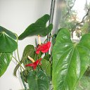 ���� �����, ������� - ��������� 21 ������� 2014 � ������ ���� ����������