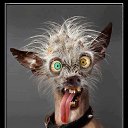 ���� �������, ����������, 45 ��� - ��������� 11 ���� 2014 � ������ ������ ��������