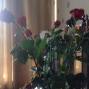 ���� Ludmila, ����, 65 ��� - ��������� 29 ���� 2014 � ������ ������ ��������