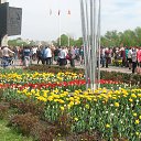 ���� �����, ����� - ��������� 9 ��� 2014 � ������ ������ ��������