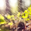 ���� �������, ��������, 42 ���� - ��������� 8 ��� 2014 � ������ �������