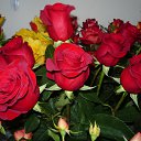 ���� �������., ��������� - ��������� 24 ��� 2014 � ������ ������ ��������