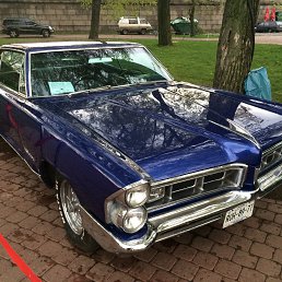 ���� �������, �����-���������, 47 ��� - ��������� 3 ���� 2014