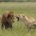 ���� �������, �������, 54 ���� - ��������� 31 ���� 2014 � ������ ������ ��������