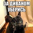 ���� ������� ���������, ������ - ��������� 20 ������ 2014 � ������ ������ ��������