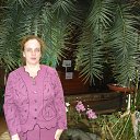 ���� ������, ������, 44 ���� - ��������� 10 ���� 2014 � ������ ���� ����������