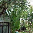 ��������� ������� �� ������� ���� ����������