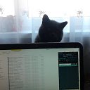 ��� ��������))