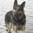 ���� �������, ��������� - ��������� 13 ���� 2014 � ������ ������ ��������