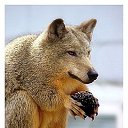 ���� ��������, ���� - ��������� 30 ���� 2014 � ������ ������ ��������