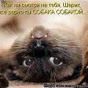 ���� ����, ������� - ��������� 14 ��� 2014 � ������ ������ ��������