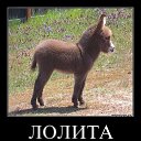 ���� ������, ��������������, 52 ���� - ��������� 9 ���� 2014 � ������ ��������������