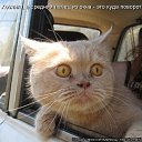 ���� �����****, ������-��-����, 61 ��� - ��������� 8 ������ 2014 � ������ ������ ��������