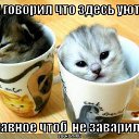 ���� �_�_�_�_�, ������-��-����, 43 ���� - ��������� 15 ��� 2014 � ������ ������ ��������