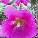 ������ 2014 �� ������� �"...�� ������ ������..."�