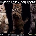 ���� ����, ��������� - ��������� 24 ���� 2014 � ������ ������ ��������