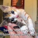���� ������, �������� - ��������� 18 ���� 2014 � ������ ������ ��������