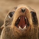 ��� ������ �� ���������� �� ������� �������