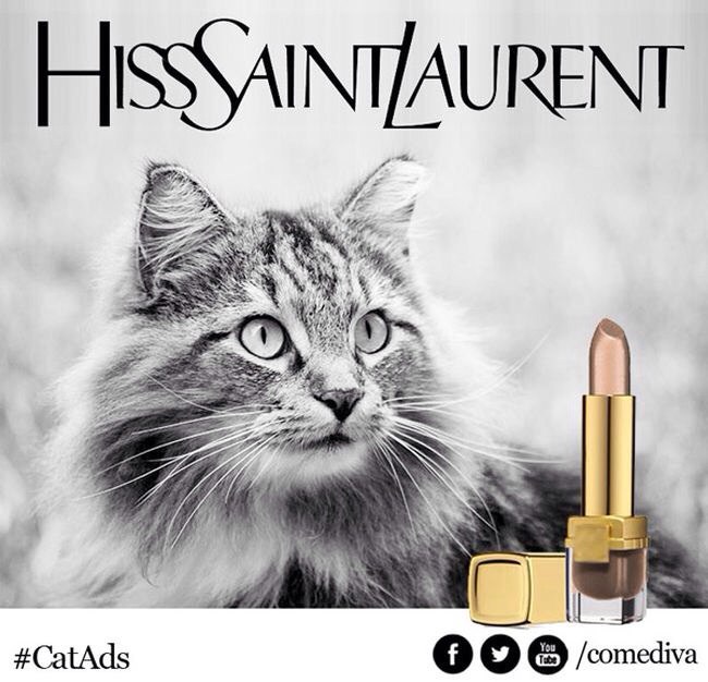    .    ,   Comediva  ... - 2