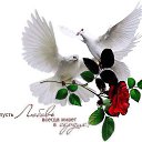 ���� ��������, ���������, 67 ��� - ��������� 27 ����� 2014 � ������ ������ ��������