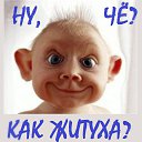 ���� ����, ���������, 47 ��� - ��������� 31 ����� 2014 � ������ ���� ����������