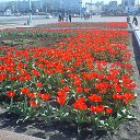 ����� � ������ �� ������� ���� ����������