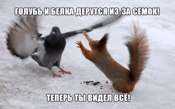 ����������� (18+) - 12 ���� 2014 � 18:36