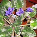 ���� �����, ������ �������� - ��������� 22 ����� 2014 � ������ �������