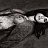���� Katy, �������, 23 ���� - ��������� 3 ������� 2014