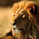 ���� Svetlana, ������ - ��������� 8 ������� 2014 � ������ ���� ����������