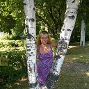 ���� �����, �����������, 41 ��� - ��������� 23 ���� 2014 � ������ ���� ����������