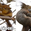 ���� Mar��, �����-���������, 48 ��� - ��������� 12 ���� 2014 � ������ ���� ����������