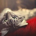 ���� �����, ������������ - ��������� 2 ���� 2014 � ������ ���� ����������