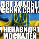 ���� ����, �����, 62 ���� - ��������� 5 ���� 2014 � ������ ������ ��������